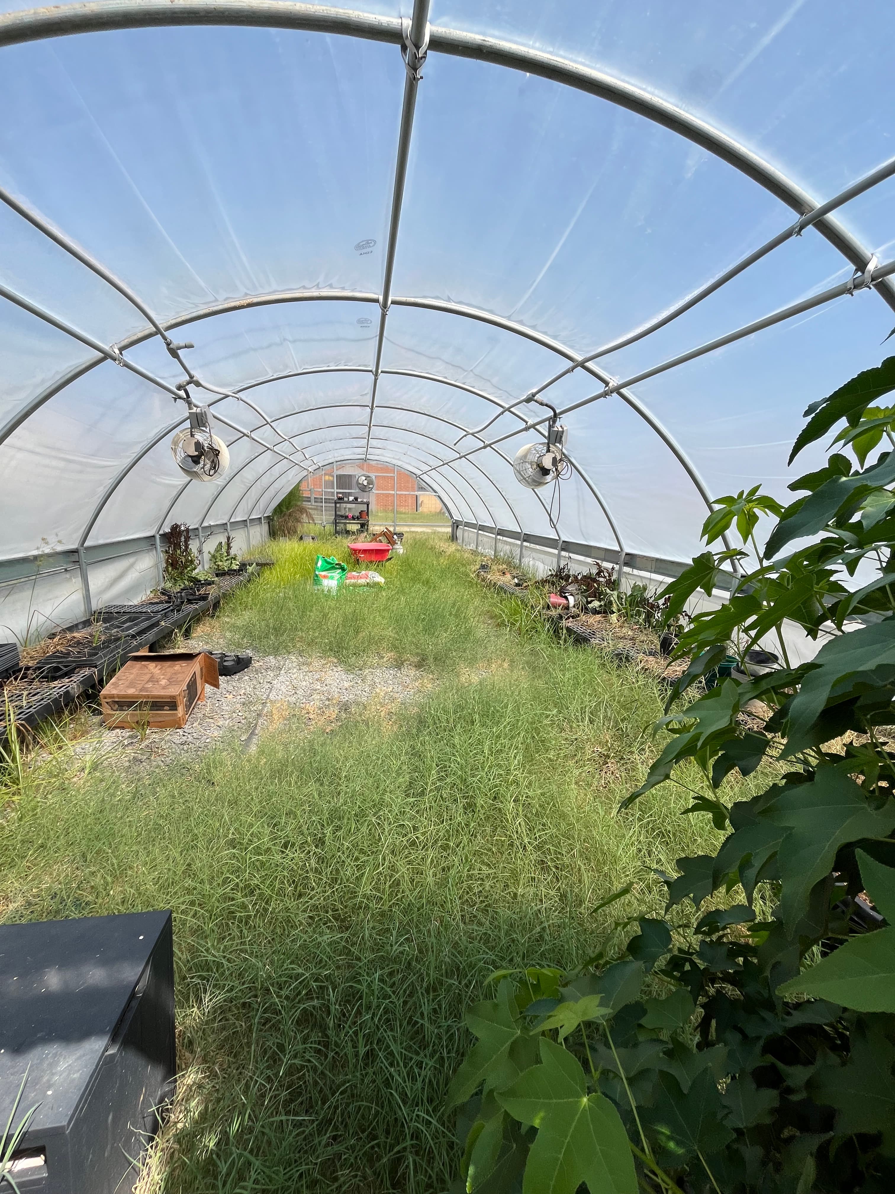 image of green house at the school
